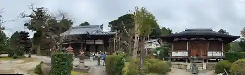 海住山寺の本殿・本堂