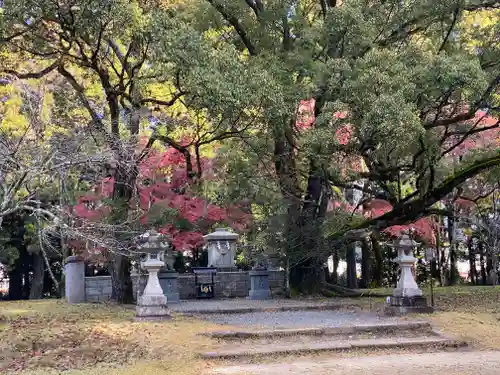 大斎原（熊野本宮大社旧社地）(和歌山県)