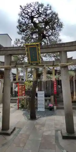 市比賣神社(京都府)