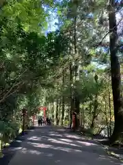 箱根神社の景色