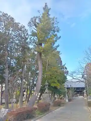 鶉田神社(岐阜県)