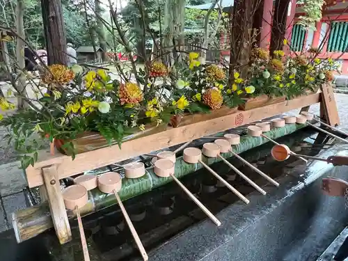 武蔵一宮氷川神社(埼玉県)