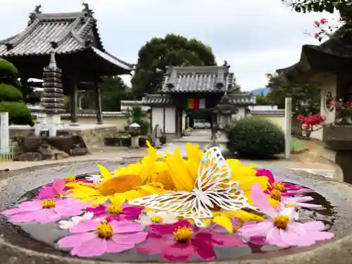 真言宗　善通寺派　薬王寺(香川県)