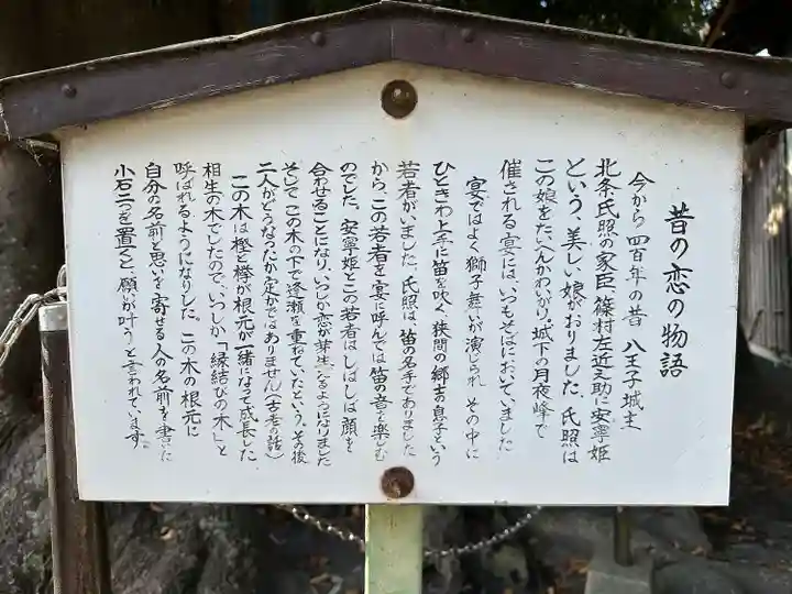 熊野神社(東京都)