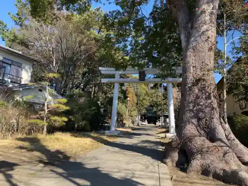 日枝神社の鳥居