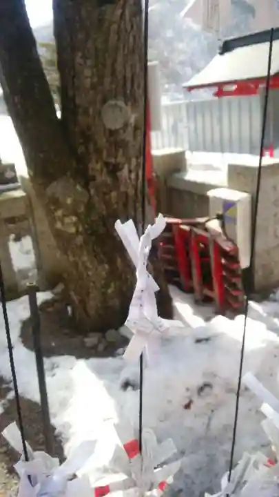 赤城神社(群馬県)