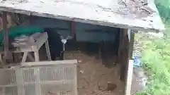 賀茂別雷神社の動物