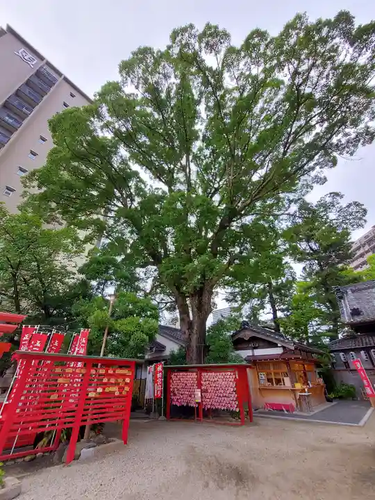 菅生神社(愛知県)