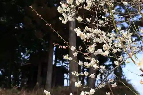 隠津島神社の末社