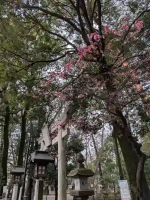 布多天神社(東京都)