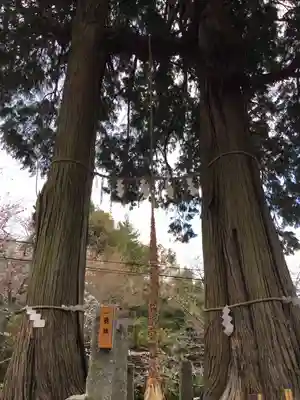 武雄神社(佐賀県)
