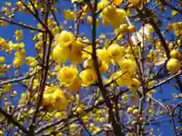 阿邪訶根神社の自然
