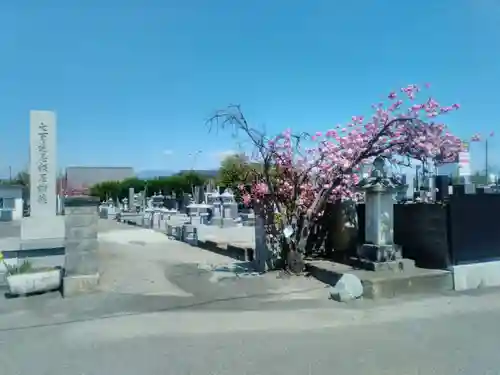 遠妙寺の山門・神門