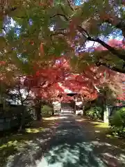 正樂寺(宮城県)