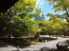 勝林寺の庭園