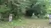 伏見稲荷神社の{uncategorized: "未分類", other: "その他", undefined: "問題あり", building: "その他建物", grave: "お墓", sacred_gate: "鳥居", guardian: "狛犬", statue: "像", buddha: "仏像", history: "歴史", nature: "自然", garden: "庭園", animal: "動物", pagoda: "塔", temizu: "手水舎", mountain_gate: "山門・神門", sanctuary: "本殿・本堂", subordinate: "末社・摂社", art: "芸術", scenery: "景色", jizo: "地蔵", ema: "絵馬", goshuin: "御朱印", omikuji: "おみくじ", items: "授与品その他", amulet: "お守り", goshuincho: "御朱印帳", eats: "食事", festival: "お祭り", votive_dance: "神楽", shichigosan: "七五三参", wedding: "結婚式", experience: "体験その他", initially: "初詣", around: "周辺", anti_infection: "感染症対策"}