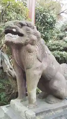 千葉神社の狛犬