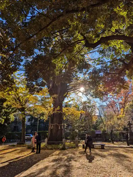 赤坂氷川神社(東京都)