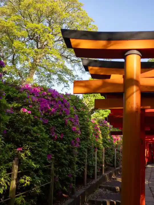 乙女稲荷神社の{uncategorized: "未分類", other: "その他", undefined: "問題あり", building: "その他建物", grave: "お墓", sacred_gate: "鳥居", guardian: "狛犬", statue: "像", buddha: "仏像", history: "歴史", nature: "自然", garden: "庭園", animal: "動物", pagoda: "塔", temizu: "手水舎", mountain_gate: "山門・神門", sanctuary: "本殿・本堂", subordinate: "末社・摂社", art: "芸術", scenery: "景色", jizo: "地蔵", ema: "絵馬", goshuin: "御朱印", omikuji: "おみくじ", items: "授与品その他", amulet: "お守り", goshuincho: "御朱印帳", eats: "食事", festival: "お祭り", votive_dance: "神楽", shichigosan: "七五三参", wedding: "結婚式", experience: "体験その他", initially: "初詣", around: "周辺", anti_infection: "感染症対策"}