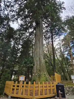 須山浅間神社(静岡県)