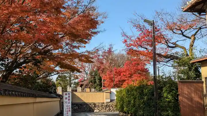 妙心寺(妙心禅寺)(京都府)
