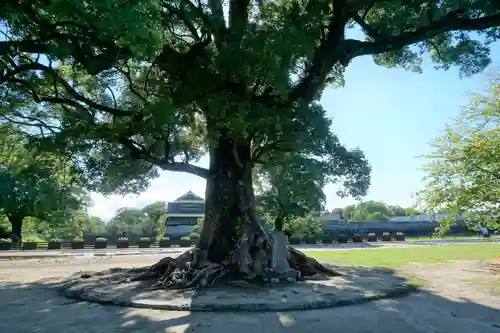 加藤神社の庭園