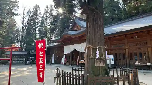 穂高神社本宮(長野県)