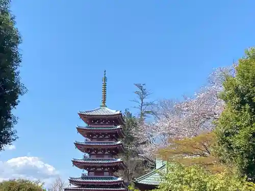 本土寺(千葉県)