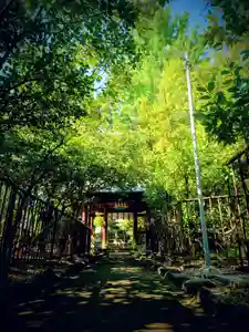 溝旗神社(肇國神社)(岐阜県)(2025年09月16日(火) 17時41分00秒投稿)