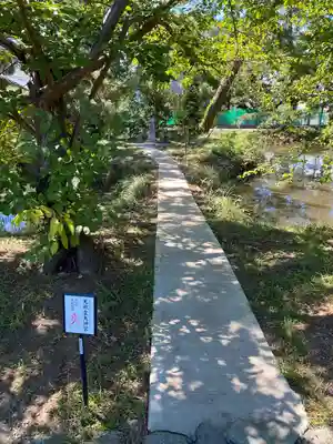 鶴嶺八幡宮(神奈川県)