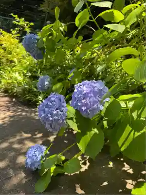 渋谷氷川神社(東京都)