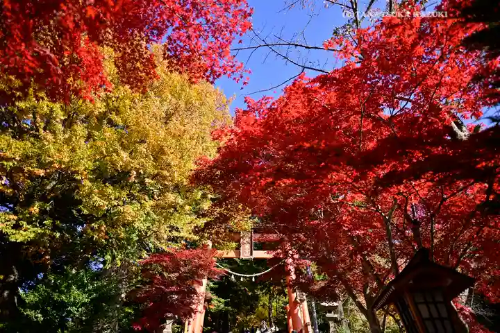 新倉富士浅間神社(山梨県)