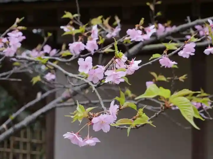 江島神社の自然