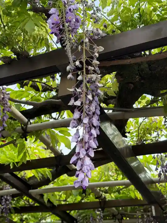 西方山極楽寺(岐阜県)