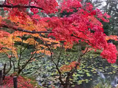 天授庵(京都府)