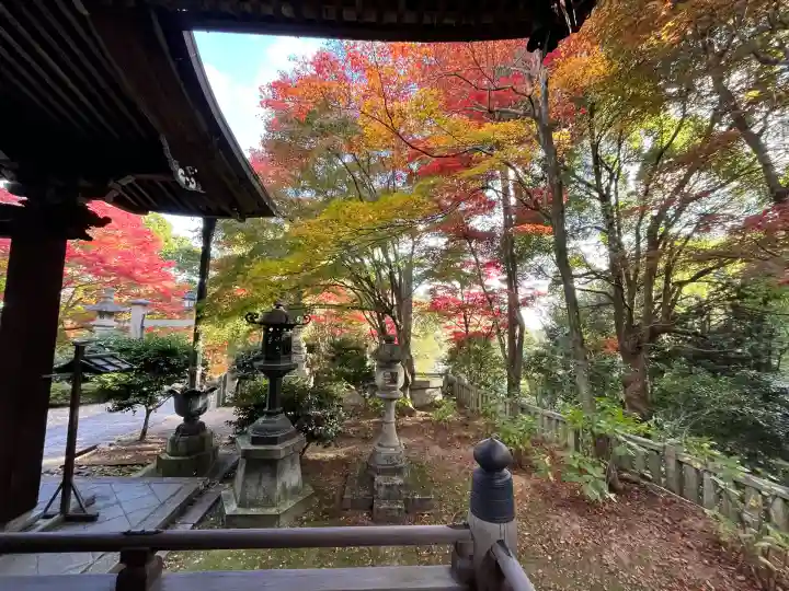 柳谷観音 楊谷寺(京都府)