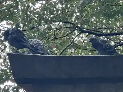 笠䅣稲荷神社(神奈川県)
