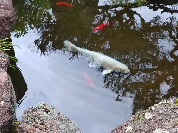 飛瀧神社(熊野那智大社別宮)(和歌山県)