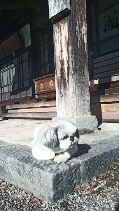 宗林寺(山梨県)