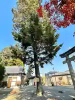 八田神社(滋賀県)