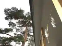 厚真神社のその他建物