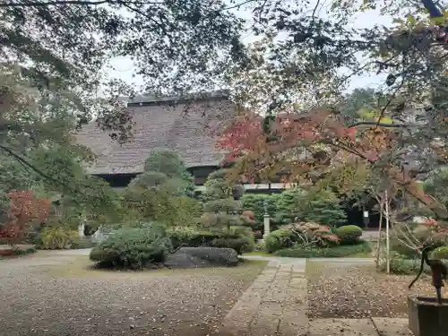 常光院の庭園