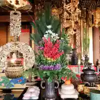 雨竜 専福寺の初詣