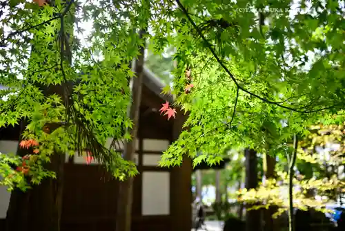 諏訪大社下社秋宮(長野県)