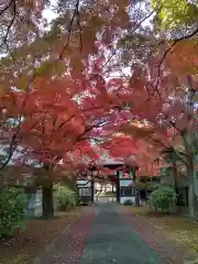 正樂寺(宮城県)