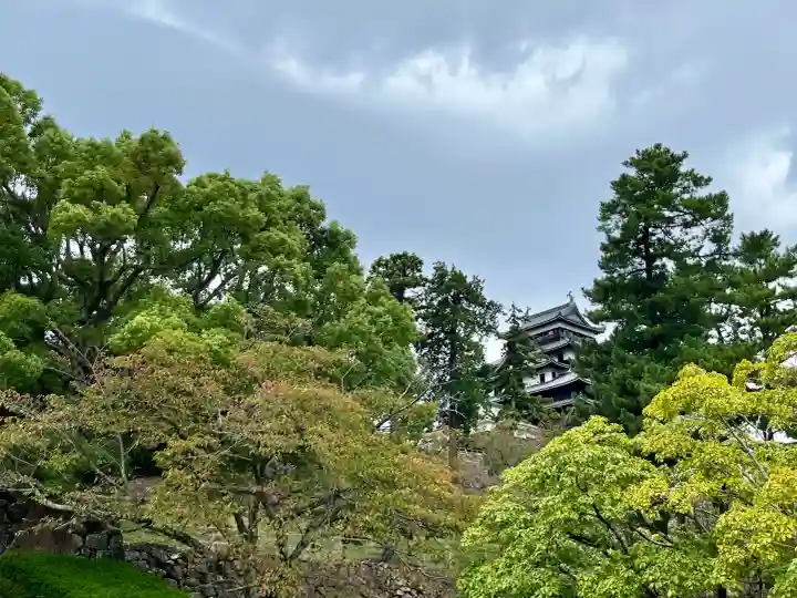 松江神社の{uncategorized: "未分類", other: "その他", undefined: "問題あり", building: "その他建物", grave: "お墓", sacred_gate: "鳥居", guardian: "狛犬", statue: "像", buddha: "仏像", history: "歴史", nature: "自然", garden: "庭園", animal: "動物", pagoda: "塔", temizu: "手水舎", mountain_gate: "山門・神門", sanctuary: "本殿・本堂", subordinate: "末社・摂社", art: "芸術", scenery: "景色", jizo: "地蔵", ema: "絵馬", goshuin: "御朱印", omikuji: "おみくじ", items: "授与品その他", amulet: "お守り", goshuincho: "御朱印帳", eats: "食事", festival: "お祭り", votive_dance: "神楽", shichigosan: "七五三参", wedding: "結婚式", experience: "体験その他", initially: "初詣", around: "周辺", anti_infection: "感染症対策"}