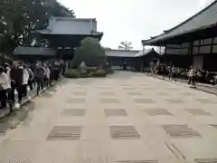 東福禅寺（東福寺）(京都府)