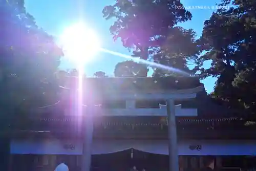 鹿島神宮(茨城県)