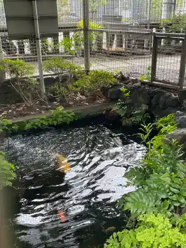 九頭龍権現水神社(東京都)