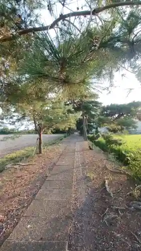 鷲宮神社(埼玉県)
